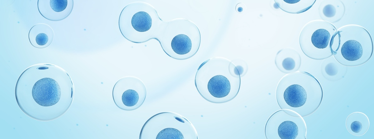 Stem Cell Therapy 