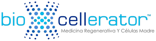 BioXcellerator logo